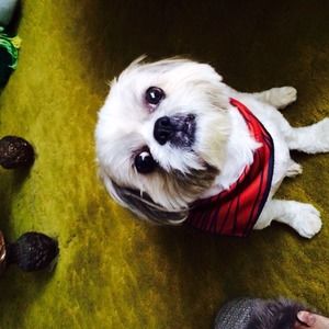 Meet your Posher, Sharon